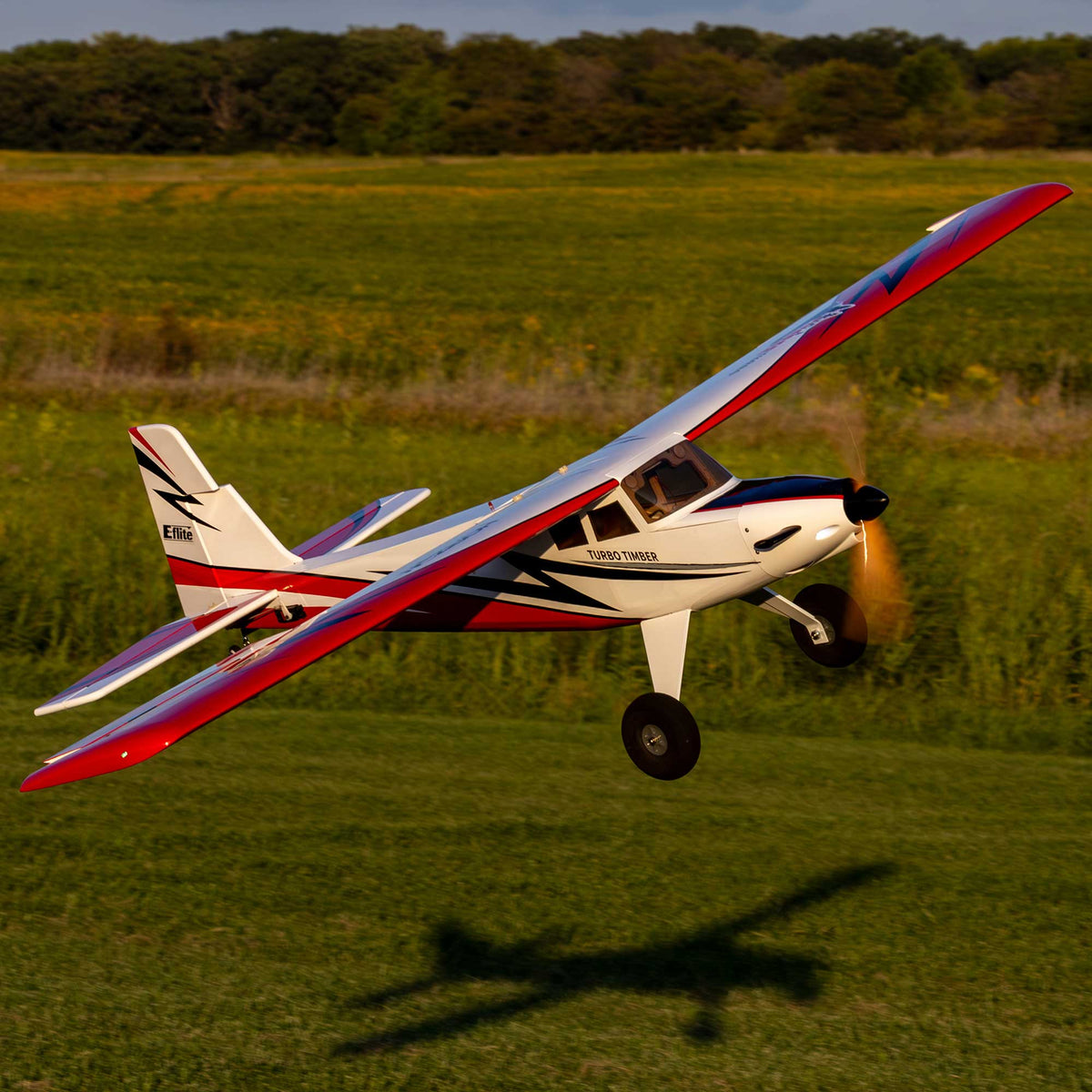 E-FLITE - Turbo Timber SWS 2.0m BNF Basic with AS3X and SAFE Select (EFL71750)