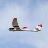 E-FLITE - UMX Radian BNF Basic with AS3X and SAFE Select (EFLU2950)