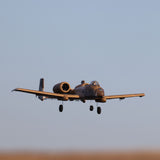 E-FLITE - UMX A-10 Thunderbolt II 30mm EDF Jet BNF Basic with AS3X and SAFE Select (EFLU6550)