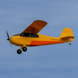 HOBBYZONE - Champ Anniversary Special Edition 515mm BNF Basic with SAFE (HBZ04950)