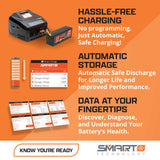 SPEKTRUM - Smart Powerstage 8S Surface Bundle: (2) G2 5000mAh 4S LiPo IC5 & S2100 Charger (SPMXPSS850)