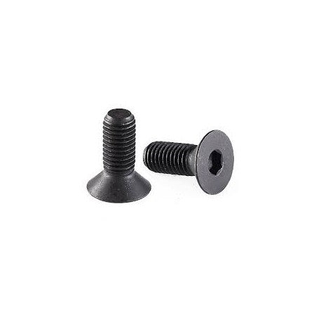 Destiny M3x5 Flathead Screw, 10 pcs (D20037)