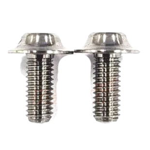 ReveD Titanium SPM Motor Screw 2 pcs Silver