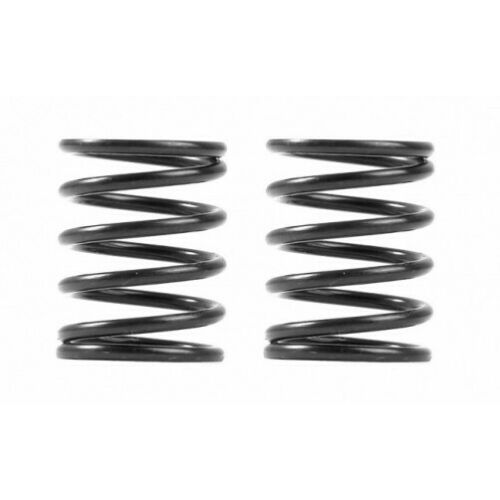 Xray Spring-Set D=1.8 (33 Lb) - (2)
